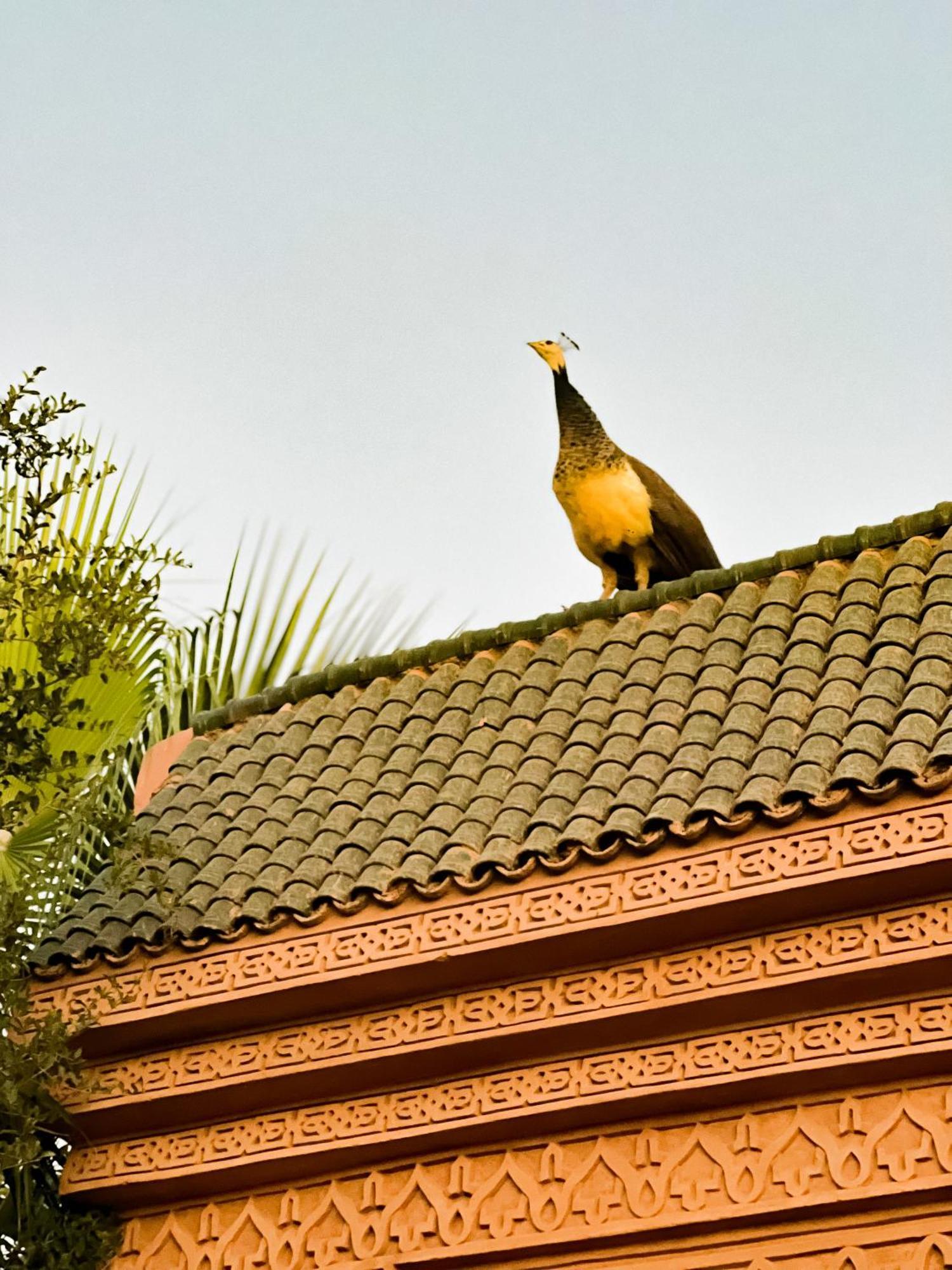 Guest House Qodwa Sidi Abdallah Ghiat エクステリア 写真